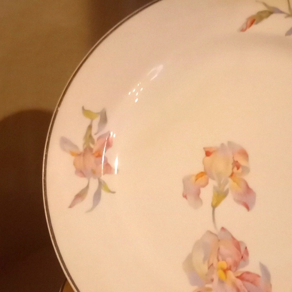 Vintage Universal Cambridge Iris Plate Bundle - 9 - 9.25" Dinner Plates - Picture 2 of 11